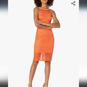 GUESS Women's Illusion Lace Halter Neck Dress